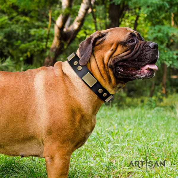 Bullmastiff everyday walking dog collar of significant quality natural leather