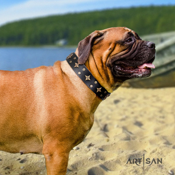 Bullmastiff comfortable wearing dog collar of significant quality leather