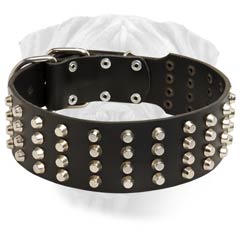 Leather Dog Collar with studs