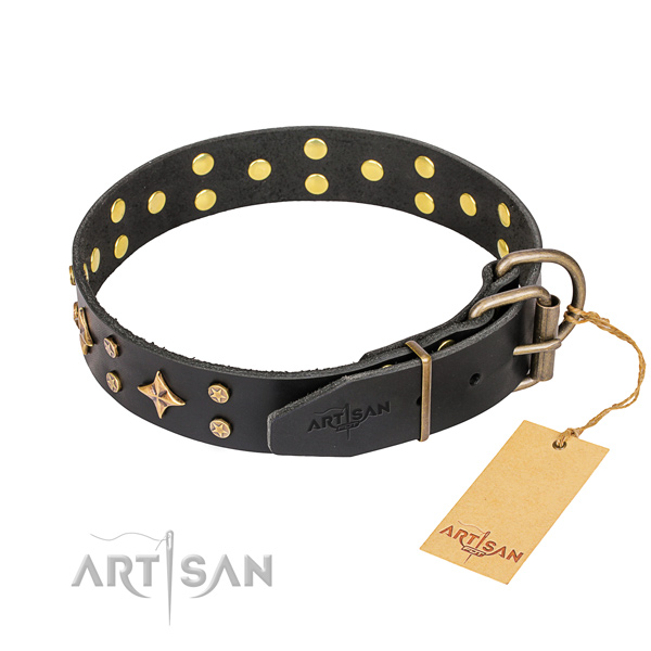 Daily use full grain leather collar with studs for your pet