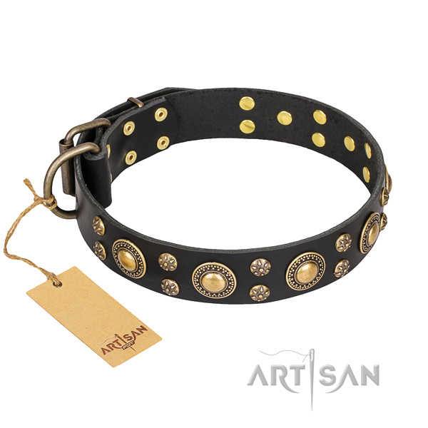 Exquisite leather dog collar for daily walking