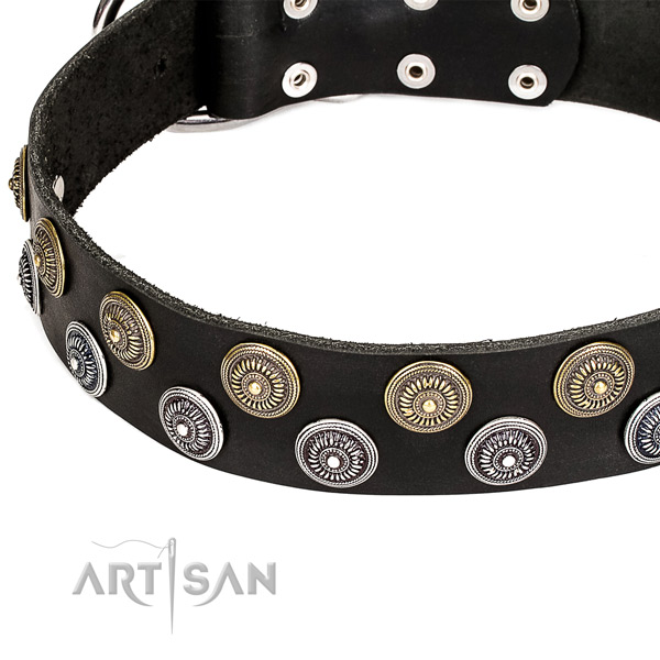 Genuine leather dog collar with impressive decorations