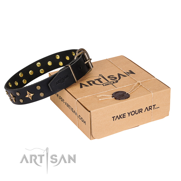 Decorated full grain genuine leather dog collar for daily use