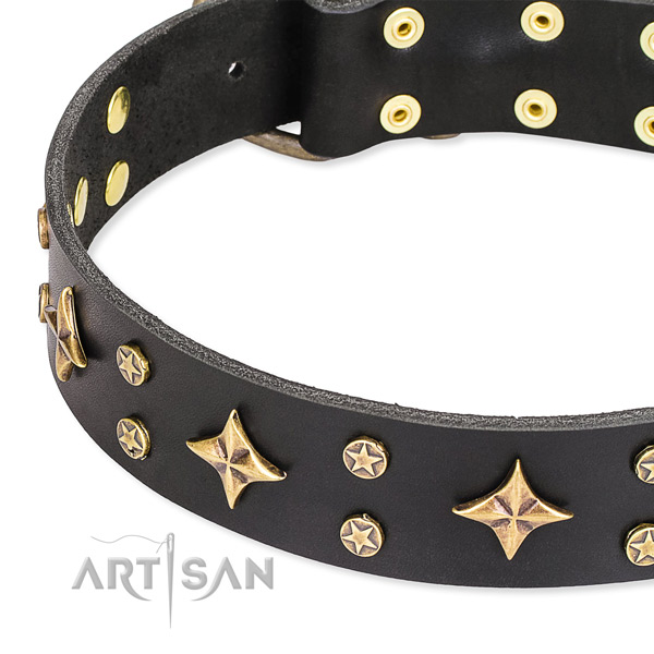 Full grain leather dog collar with extraordinary decorations