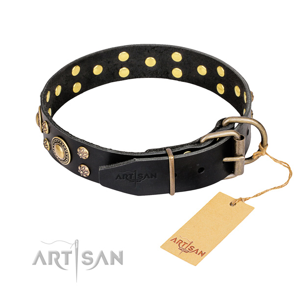 Handy use leather collar with embellishments for your doggie