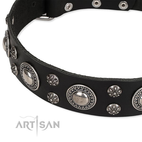 Easy to adjust leather dog collar with resistant to tear and wear rust-proof hardware