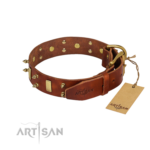 Dependable leather dog collar with brass plated fittings