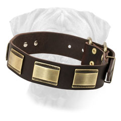 Bullmastiff Leather Collar with Brass Buckle for Walking