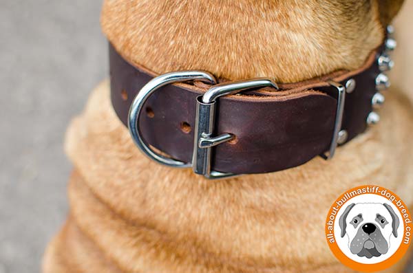 Bullmastiff leather collar with stylish cones