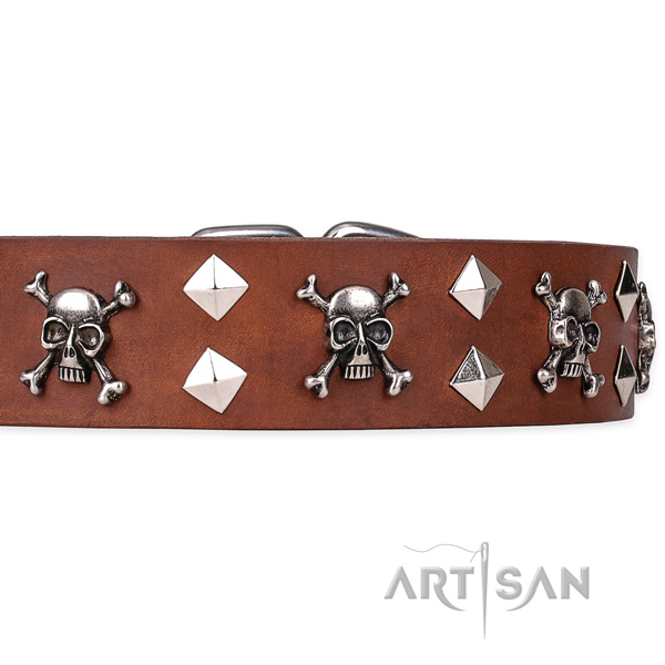 Everyday leather dog collar with incredible embellishments