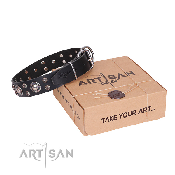 Everyday leather dog collar with amazing adornments