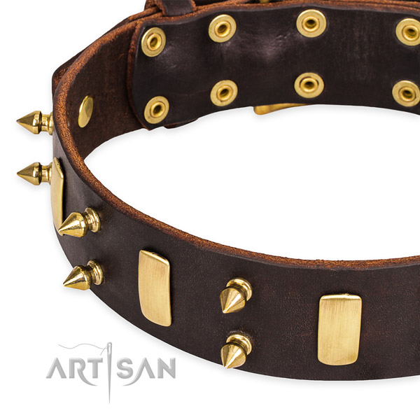 Easy to use leather dog collar with resistant non-rusting fittings