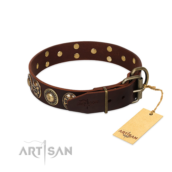 Durable studs on everyday walking dog collar