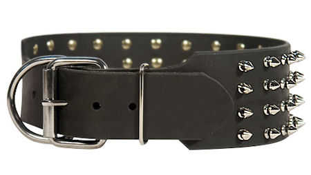 3 inch Spiked Leather Dog 【Collar】 for Bullmastiff : Bullmastiff Breed ...