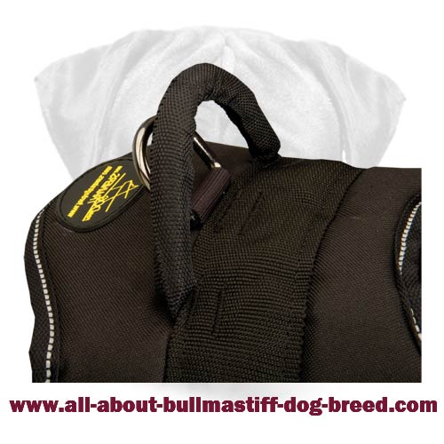 Better control everyday all weather dog harness for Bullmastiff - H17  [H17##1073 Nylon harness with id patches] - $38.99 : Best quality dog  supplies at crazy reasonable prices - harnesses, leashes, collars