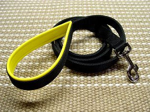 leash with padded handle