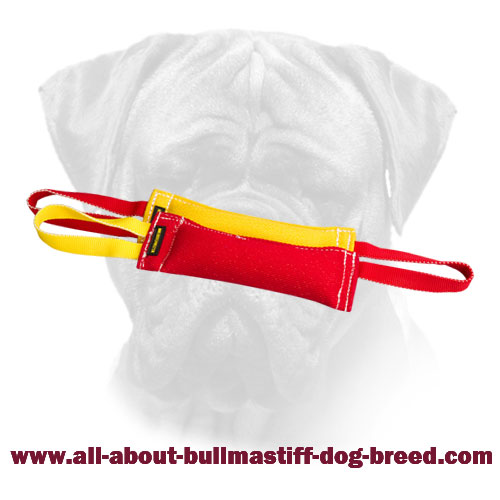 https://www.all-about-bullmastiff-dog-breed.com/images/large/Bullmastiff-Bite-Tug-Set-Handles-TE66_LRG.jpg