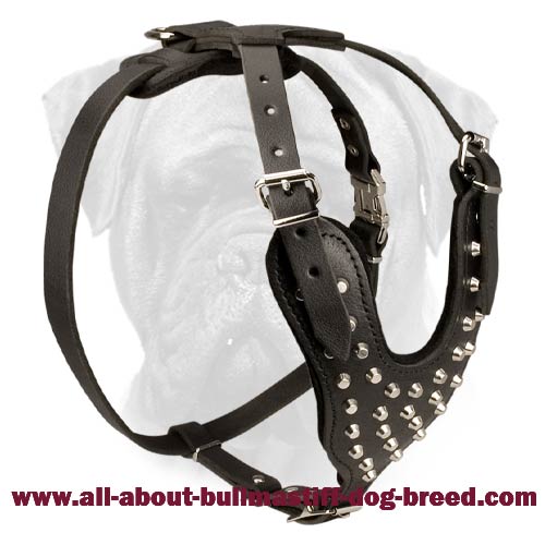 4-Strap Studded Leather Harness