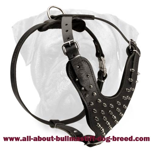 Bamboo Stick for Making Noise for Boxer Training : Boxer Breed: Dog  harness, Boxer dog muzzle, Boxer dog collar