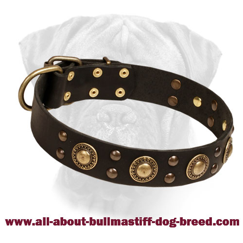 Golden knights hotsell dog collar