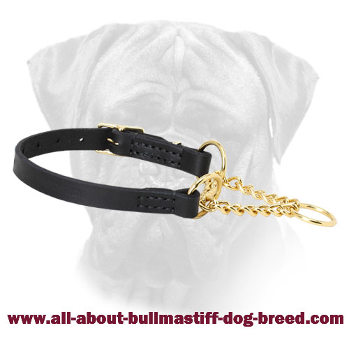 are martingale dog collars safe