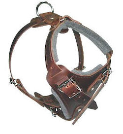 Medium leather best sale dog harness